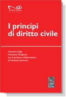 I PRINCIPI DI DIRITTO CIVILE di Antonino Giglia e Francesca Parlagreco - con la preziosa collaborazione di Nicoletta Spinoccia
